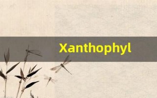 Xanthophyl什么意思,Xanthophyl用法,Xanthophyl造句,Xanthophyl的发音