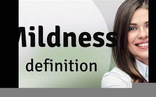 mildness什么意思,mildness中文翻译,mildness用法及例句,mildness怎么读