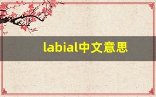 labial中文意思,labial中文翻译,labial用法及例句,labial语法