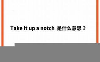 notch什么意思,notch中文翻译,notch用法及例句,notch怎么读