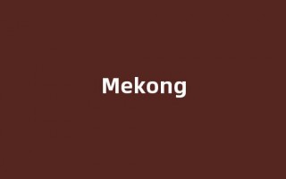 Mekong中文翻译,Mekong是什么意思,Mekong发音、用法及例句