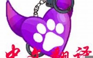 devin中文翻译,devin发音,devin用法及例句,devin是什么意思