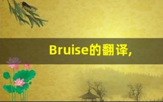 Bruise的翻译,Bruise怎么读,Bruise造句及用法