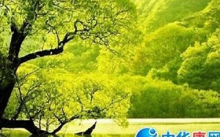 nature什么意思,nature中文翻译,nature用法及例句,nature怎么读