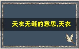天衣无缝的意思,天衣无缝的近义词反义词,天衣无缝造句例句,天衣无缝出处及解释