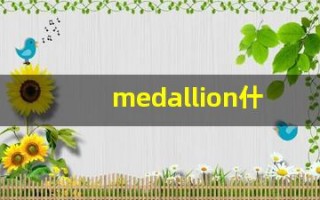 medallion什么意思,medallion用法,medallion造句
