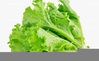 letus中文翻译,letus发音,letus用法及例句,letus是什么意思