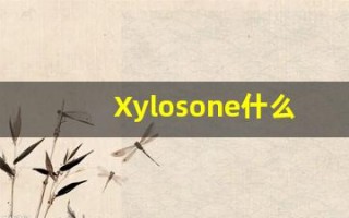 Xylosone什么意思,Xylosone用法,Xylosone造句,Xylosone的发音