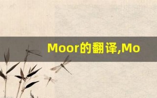 Moor的翻译,Moor怎么读,Moor造句及用法