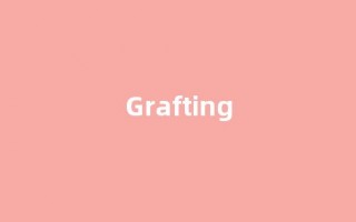 Grafting中文翻译,Grafting是什么意思,Grafting发音、用法及例句(grief的中文意思)