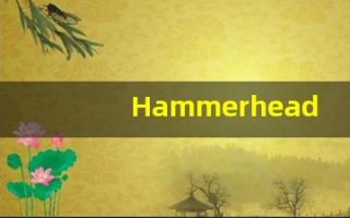 Hammerhead中文释义,Hammerhead中文翻译,Hammerhead造句,Hammerhead的发音