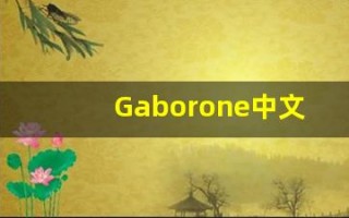 Gaborone中文意思,Gaborone中文翻译,Gaborone用法及例句,Gaborone语法