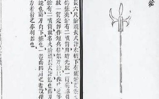 lance什么意思,lance中文翻译,lance用法及例句,lance怎么读