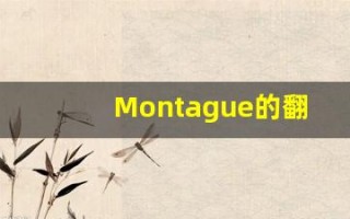 Montague的翻译,Montague怎么读,Montague造句及用法
