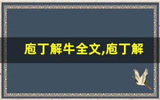庖丁解牛全文,庖丁解牛讲了什么,庖丁解牛经典句子