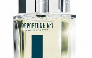 opportune什么意思,opportune中文翻译,opportune用法及例句,opportune怎么读
