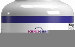intelligence什么意思,intelligence中文翻译,intelligence用法及例句,intelligence怎么读