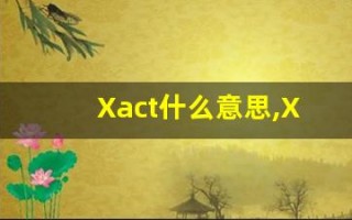 Xact什么意思,Xact用法,Xact造句,Xact的发音