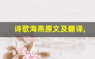 诗歌海燕原文及翻译,诗歌海燕全文,诗歌海燕翻译,诗歌海燕全诗解析