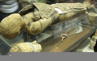 mummy什么意思,mummy中文翻译,mummy用法及例句,mummy怎么读