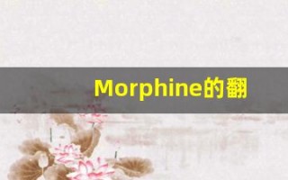 Morphine的翻译,Morphine怎么读,Morphine造句及用法