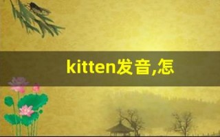 kitten发音,怎么读,kitten什么意思,kitten例句用法
