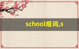 school组词,school中文翻译,school造句,school的发音