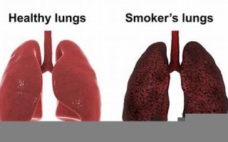 nonsmoker什么意思,nonsmoker中文翻译,nonsmoker用法及例句,nonsmoker怎么读
