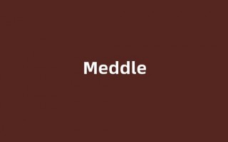 Meddle中文翻译,Meddle是什么意思,Meddle发音、用法及例句