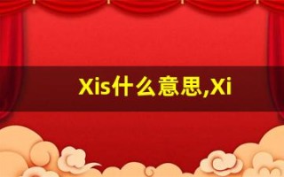 Xis什么意思,Xis用法,Xis造句,Xis的发音