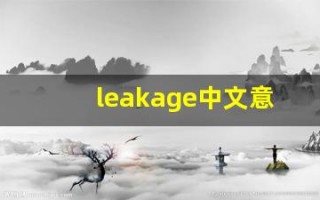 leakage中文意思,leakage中文翻译,leakage用法及例句,leakage语法