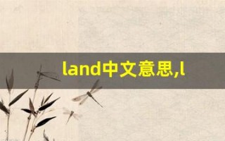 land中文意思,land中文翻译,land用法及例句,land语法