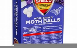 mothball什么意思,mothball中文翻译,mothball用法及例句,mothball怎么读