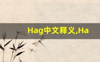 Hag中文释义,Hag中文翻译,Hag造句,Hag的发音
