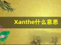 Xanthe什么意思,Xanthe用法,Xanthe造句,Xanthe的发音