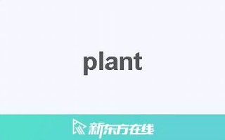 plaint什么意思,plaint中文翻译,plaint用法及例句,plaint怎么读