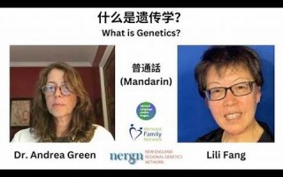 mandarin什么意思,mandarin中文翻译,mandarin用法及例句,mandarin怎么读