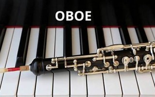 oboe什么意思,oboe中文翻译,oboe用法及例句,oboe怎么读