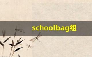 schoolbag组词,schoolbag中文翻译,schoolbag造句,schoolbag的发音