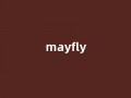Mayfly中文翻译,Mayfly是什么意思,Mayfly发音、用法及例句