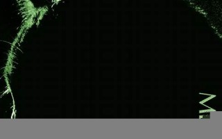 japan中文翻译,japan发音,japan用法及例句,japan是什么意思