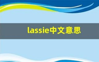 lassie中文意思,lassie中文翻译,lassie用法及例句,lassie语法