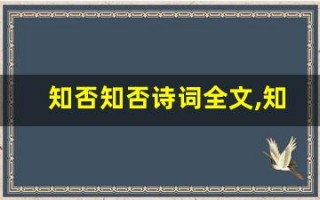 知否知否诗词全文,知否知否诗词讲了什么,知否知否诗词经典句子