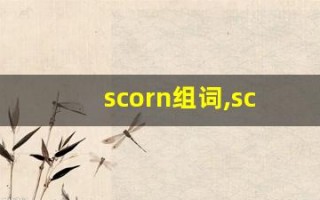 scorn组词,scorn中文翻译,scorn造句,scorn的发音