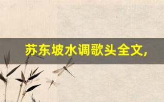 苏东坡水调歌头全文,苏东坡水调歌头讲了什么,苏东坡水调歌头经典句子