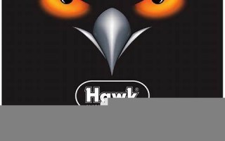 hawk怎么读,hawk中文翻译,hawk什么意思,hawk用法及例句