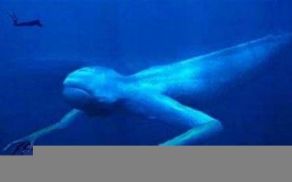 mysterious什么意思,mysterious中文翻译,mysterious用法及例句,mysterious怎么读