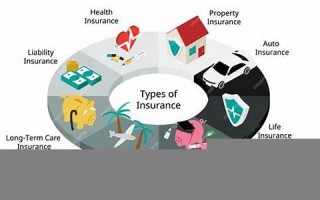 insurance什么意思,insurance中文翻译,insurance用法及例句,insurance怎么读