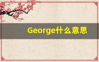 George什么意思,George用法,George的发音,George翻译