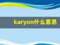 karyon什么意思,karyon造句用法,karyon的发音,karyon中文翻译